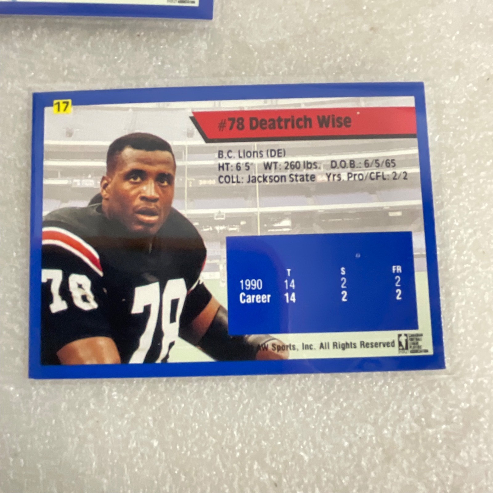 1991 AW Sports CFL 10 Card Lot Rocket Ismail Mike Scott Donruss - Image 17