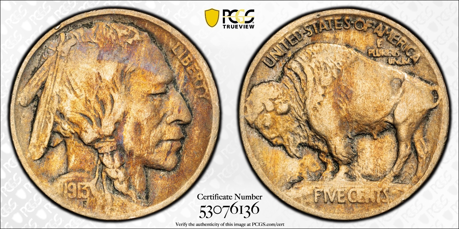 1913 Buffalo Nickel 5C Type 1 PCGS Genuine Cleaned VF Cert#53076136 - Image 1