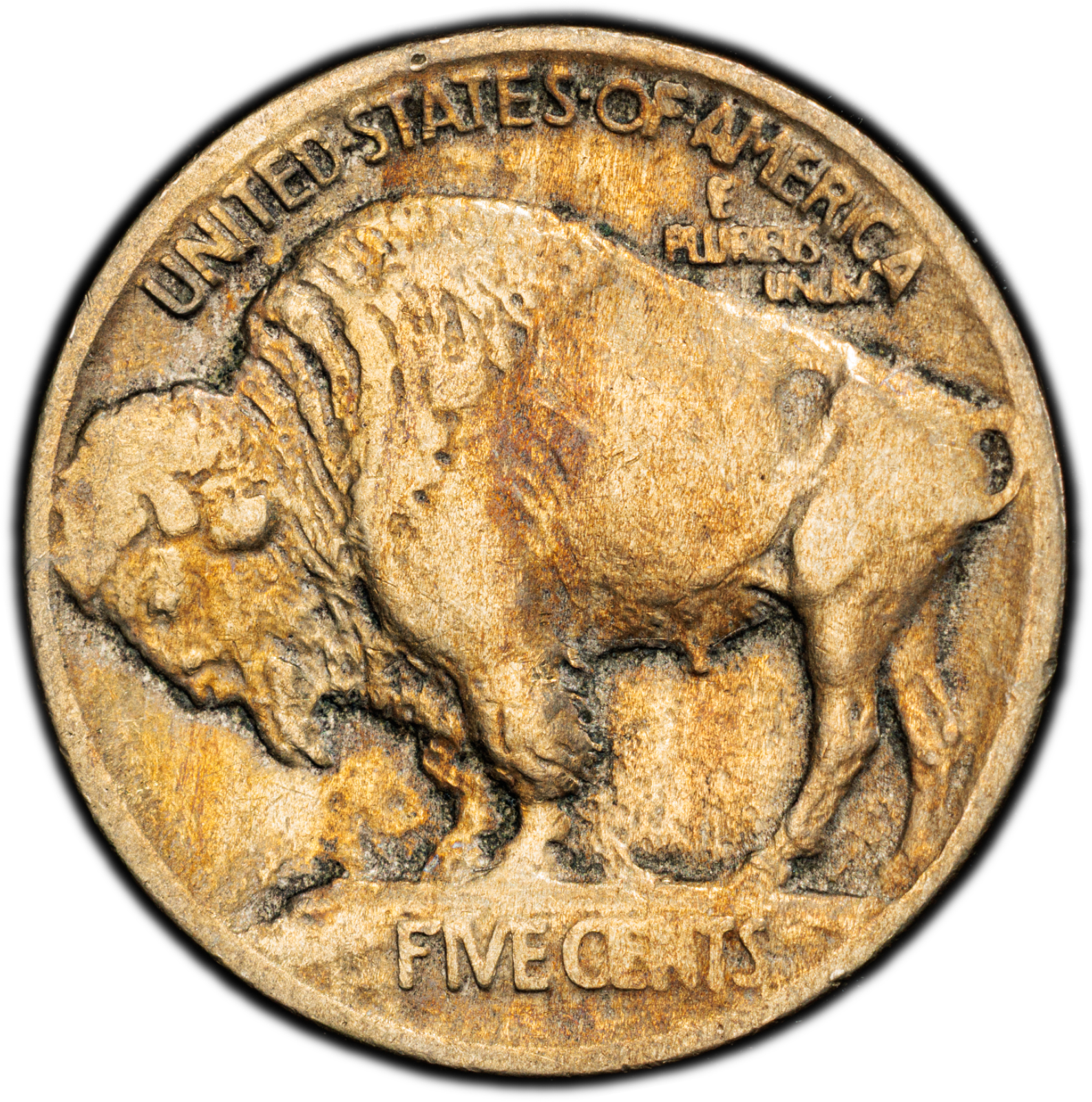 1913 Buffalo Nickel 5C Type 1 PCGS Genuine Cleaned VF Cert#53076136 - Image 2
