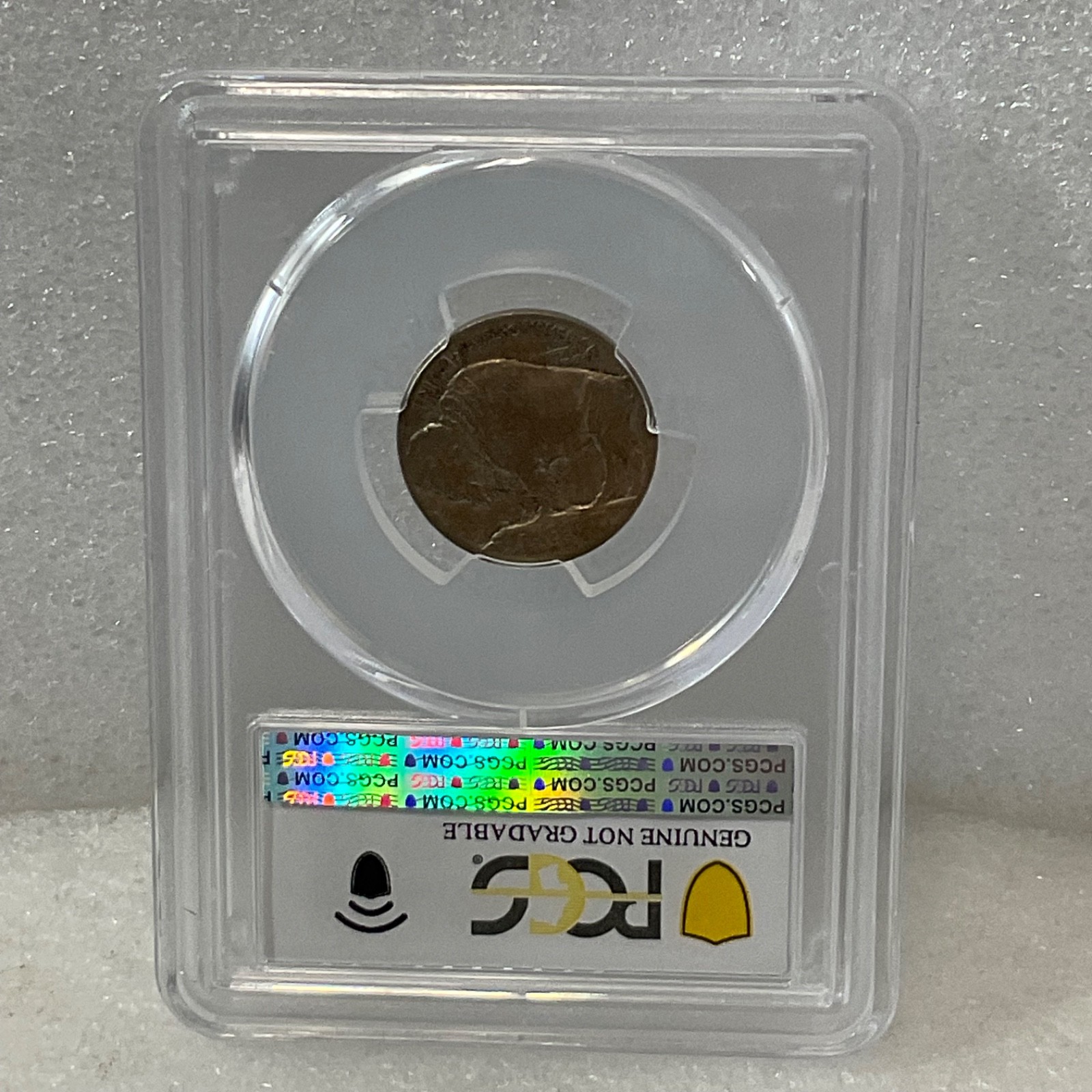 1913 Buffalo Nickel 5C Type 1 PCGS Genuine Cleaned VF Cert#53076136 - Image 12