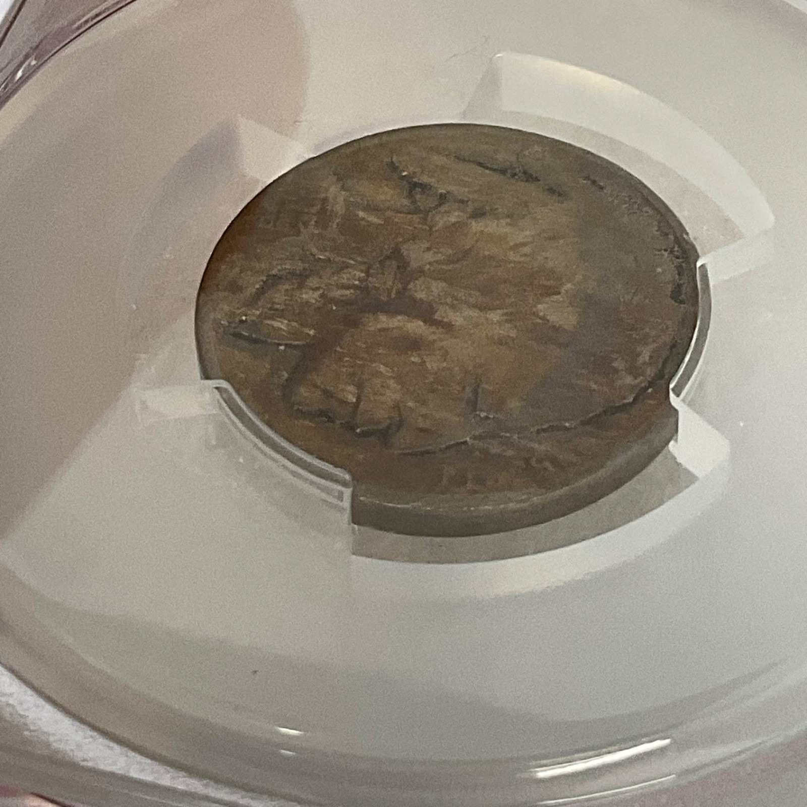 1913 Buffalo Nickel 5C Type 1 PCGS Genuine Cleaned VF Cert#53076136 - Image 15