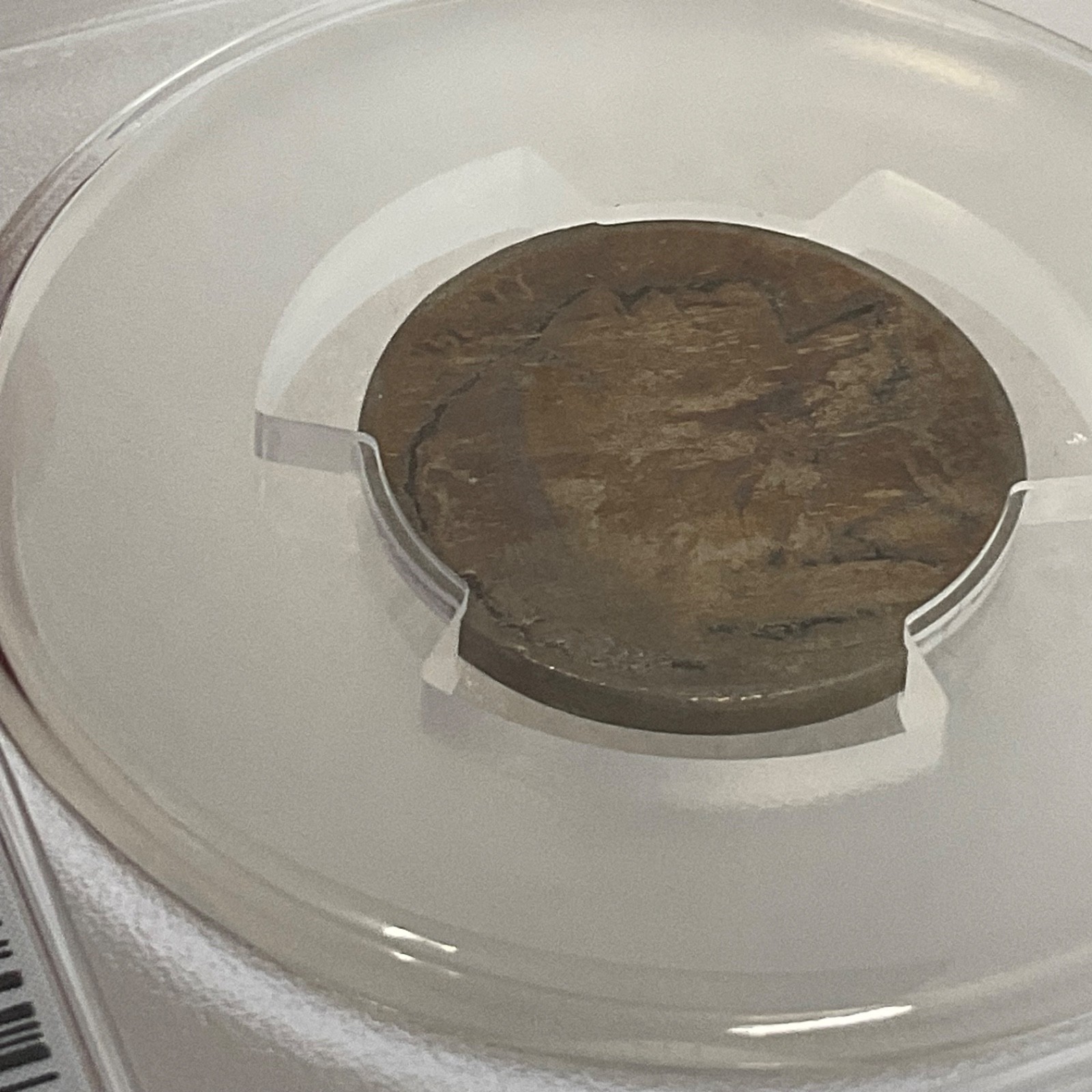 1913 Buffalo Nickel 5C Type 1 PCGS Genuine Cleaned VF Cert#53076136 - Image 16