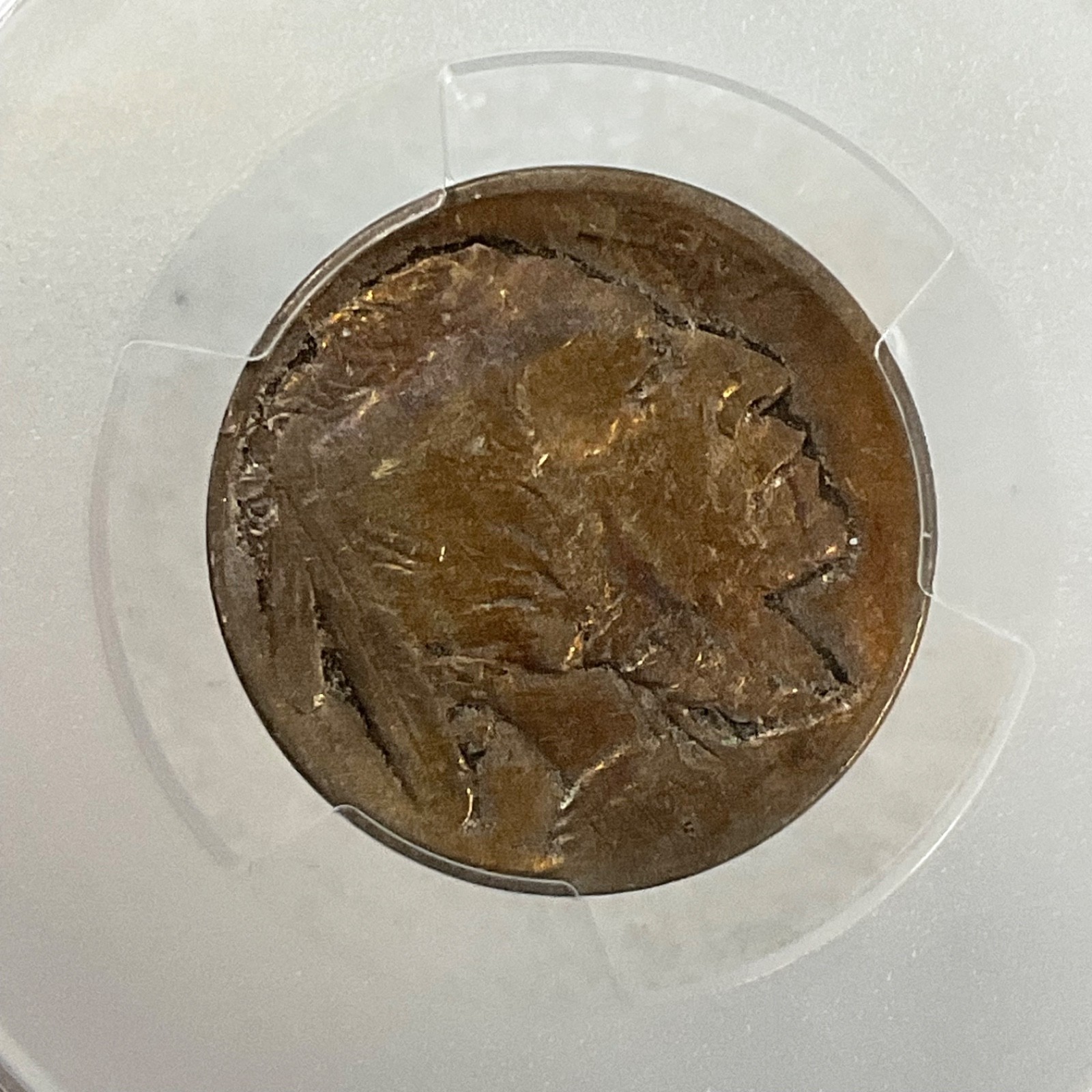 1913 Buffalo Nickel 5C Type 1 PCGS Genuine Cleaned VF Cert#53076136 - Image 17
