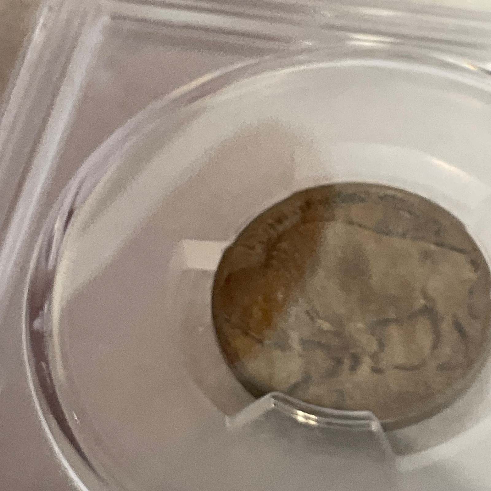 1913 Buffalo Nickel 5C Type 1 PCGS Genuine Cleaned VF Cert#53076136 - Image 19