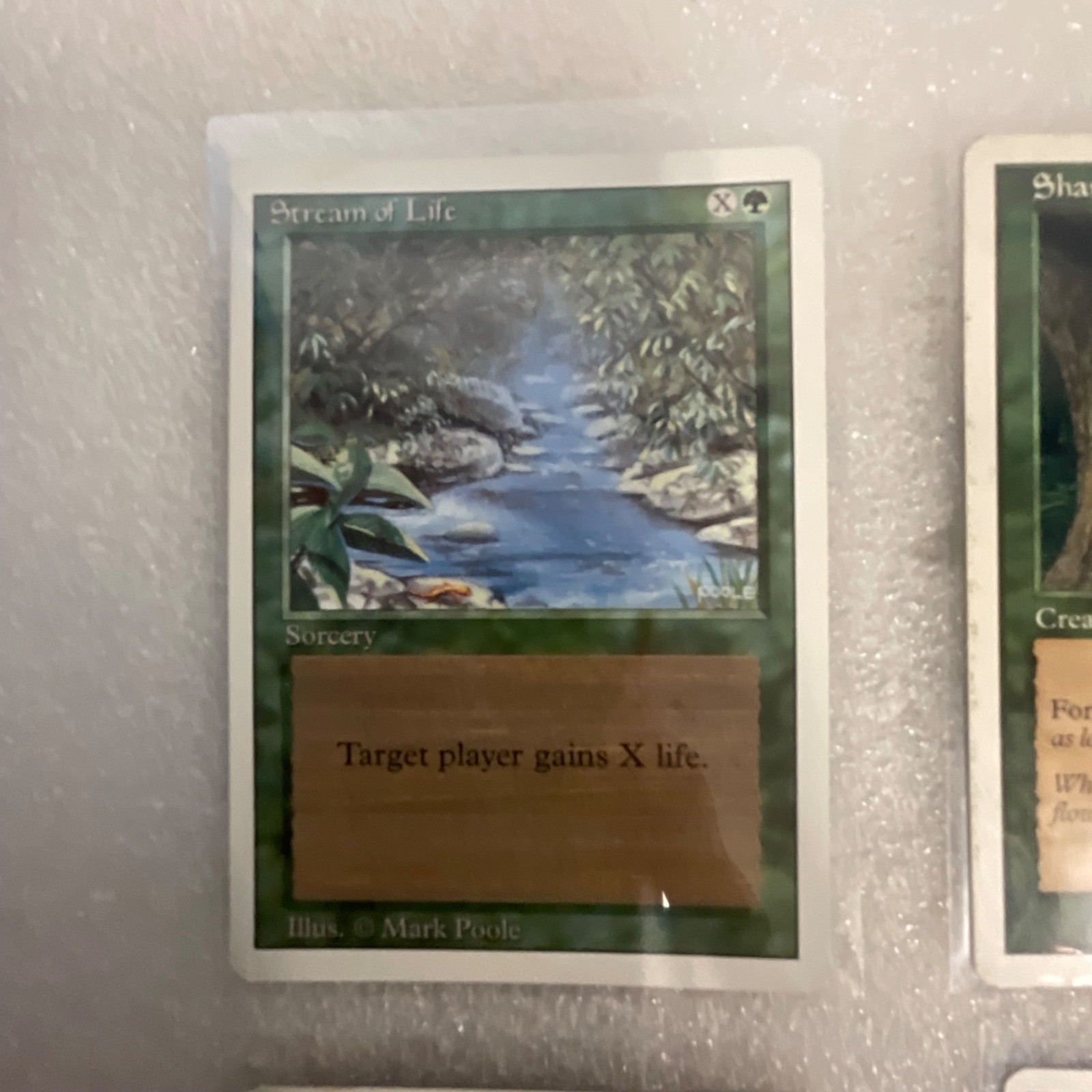 Magic the Gathering MTG 20 Card Green Lot Serpentine Kavu Seal Strength - Image 3