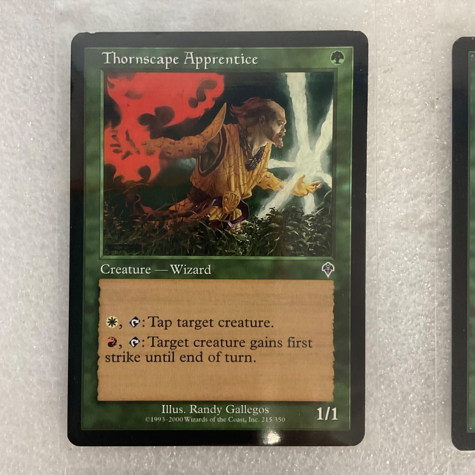 MTG 20 Card Green Lot Timberwatch Elf Thornscape Apprentice Mixed Sets - Image 3