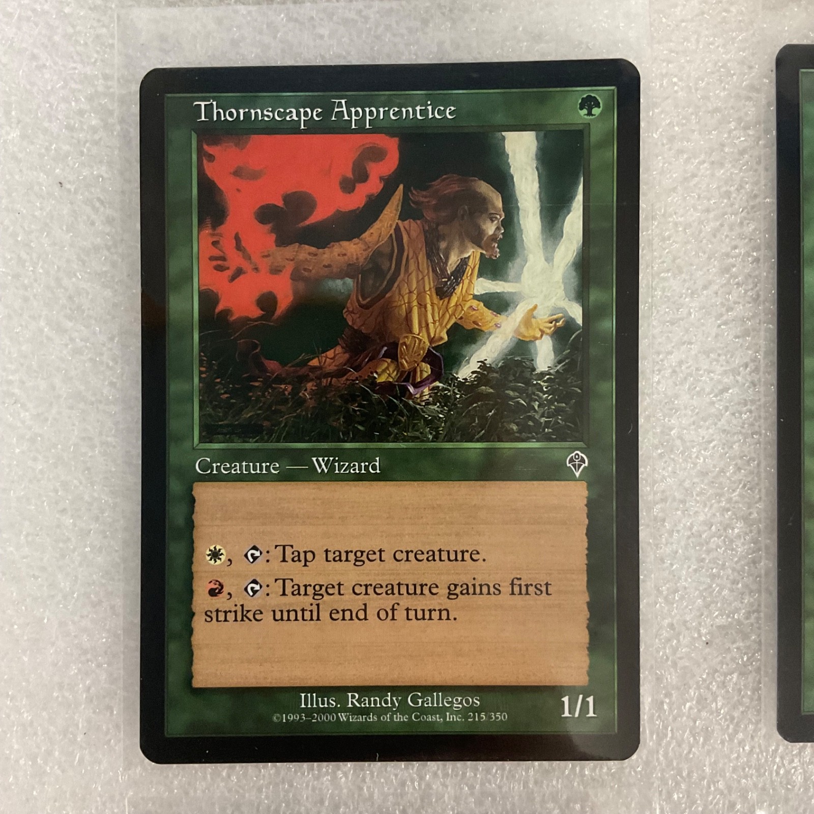 MTG 20 Card Green Lot Timberwatch Elf Thornscape Apprentice Mixed Sets - Image 4