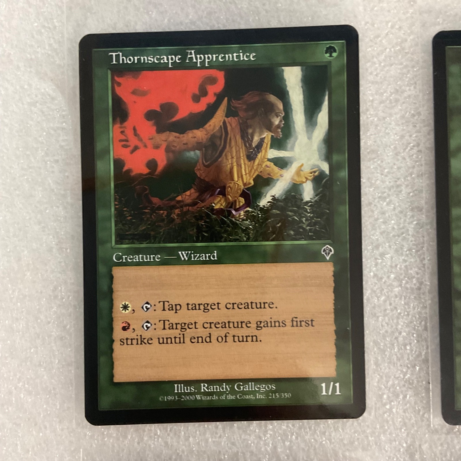 MTG 20 Card Green Lot Timberwatch Elf Thornscape Apprentice Mixed Sets - Image 5