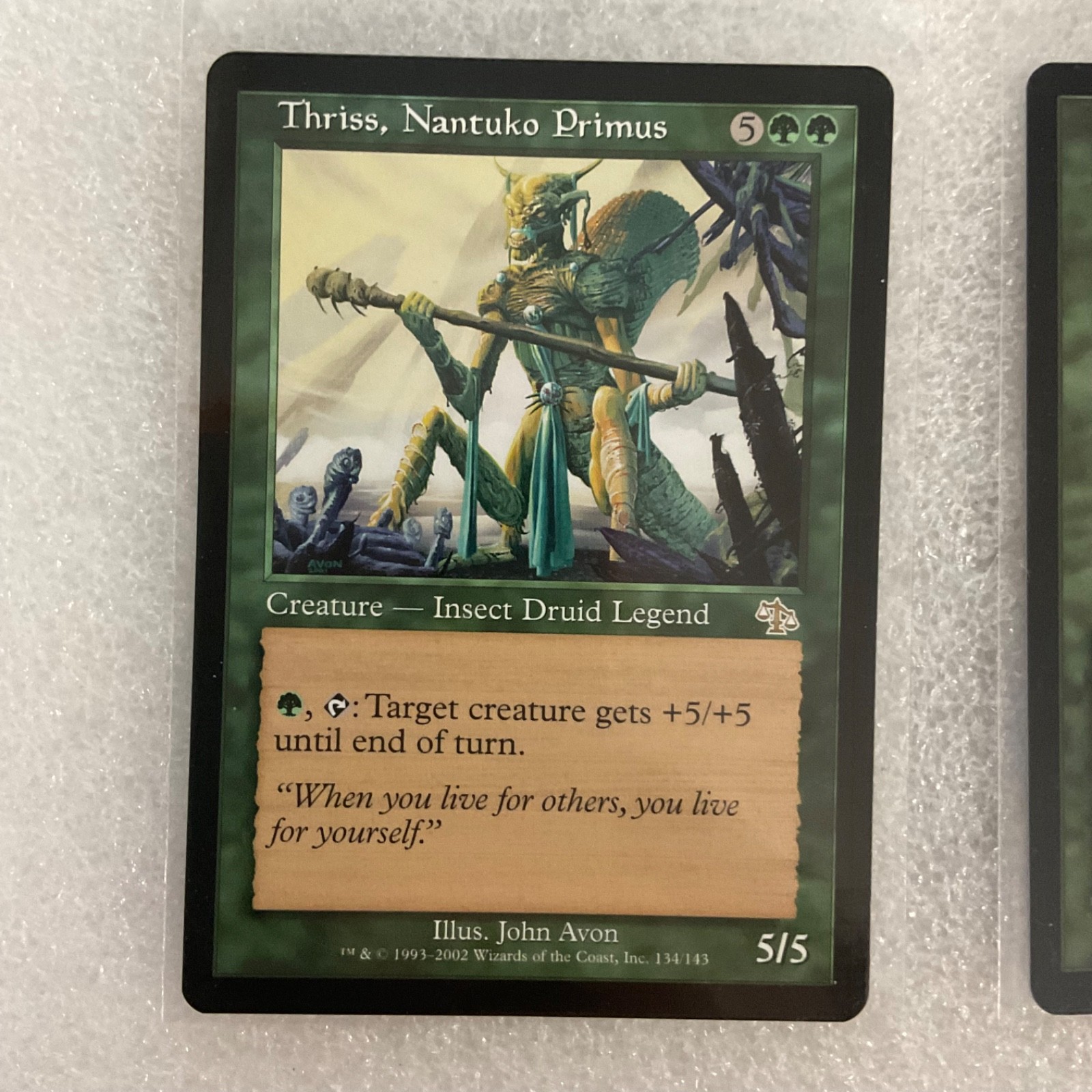 MTG 20 Card Green Lot Timberwatch Elf Thornscape Apprentice Mixed Sets - Image 6