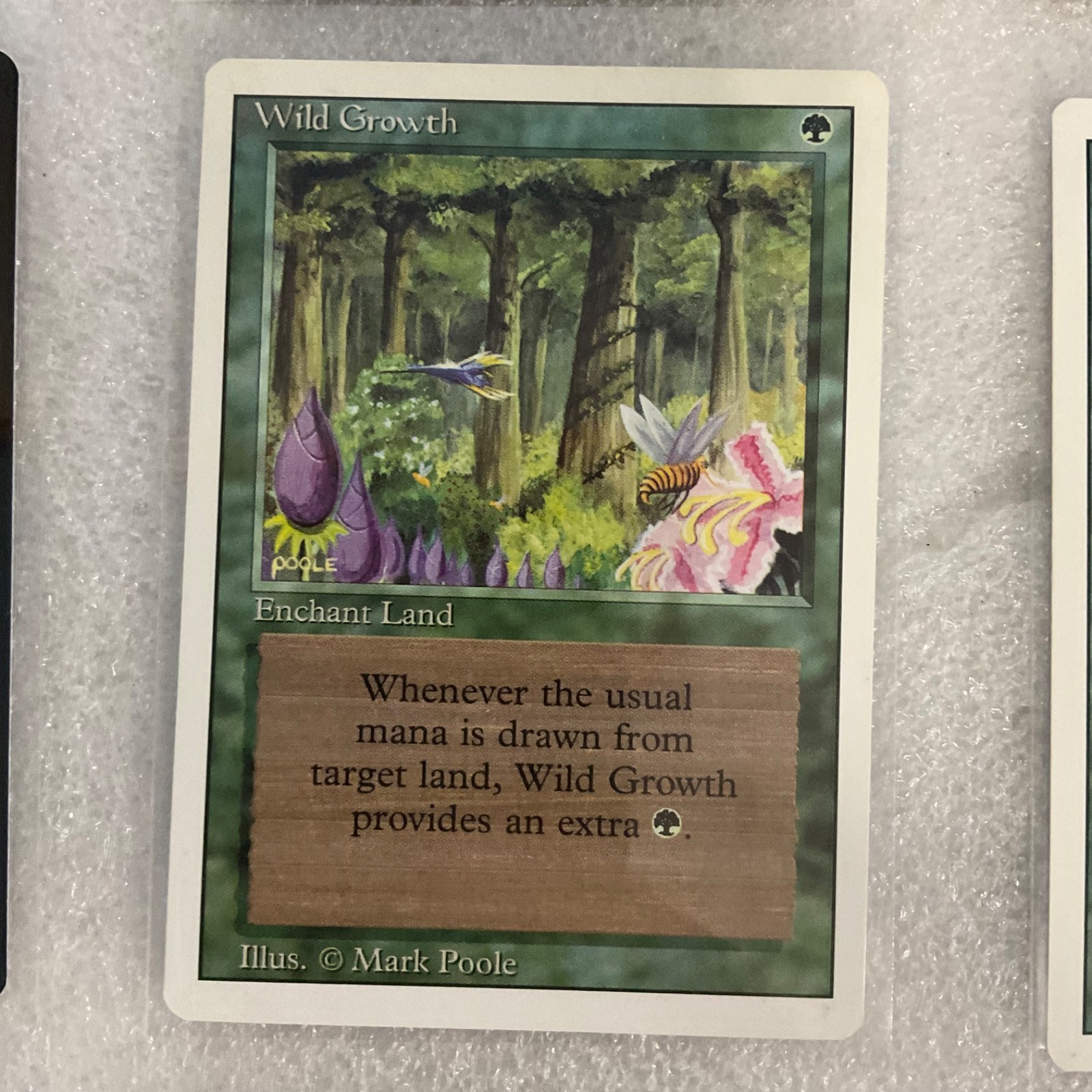 MTG 20 Card Lot Green Mixed Sets Windstorm Wellwisher Revised Onslaught - Image 8