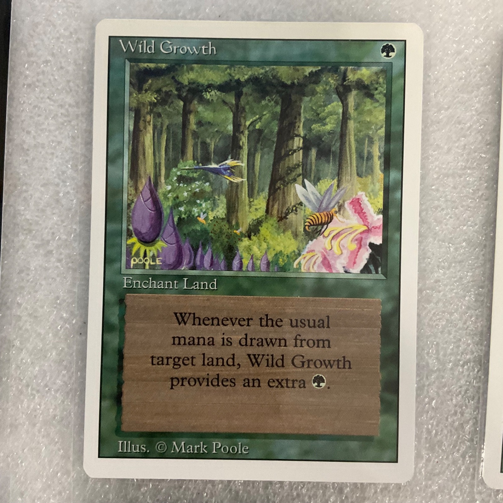 MTG 20 Card Lot Green Mixed Sets Windstorm Wellwisher Revised Onslaught - Image 9