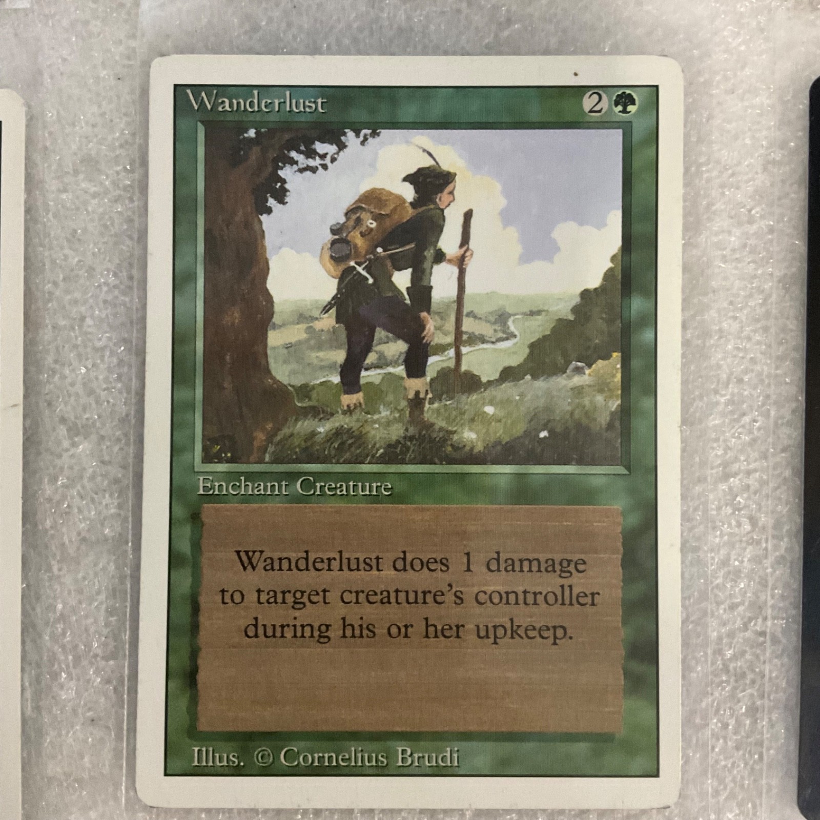 MTG 20 Card Lot Green Mixed Sets Windstorm Wellwisher Revised Onslaught - Image 16