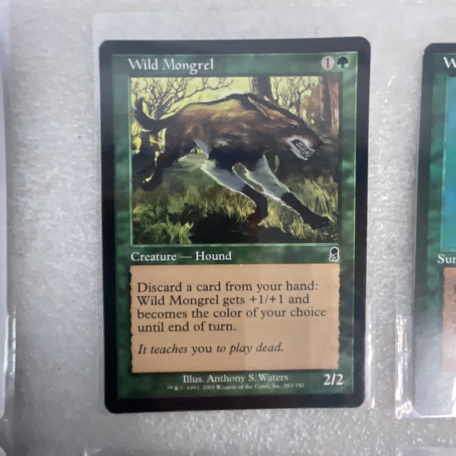 MTG 20 Card Green Lot Mixed Sets Werebear Wild Mongrel Willow Faerie - Image 18