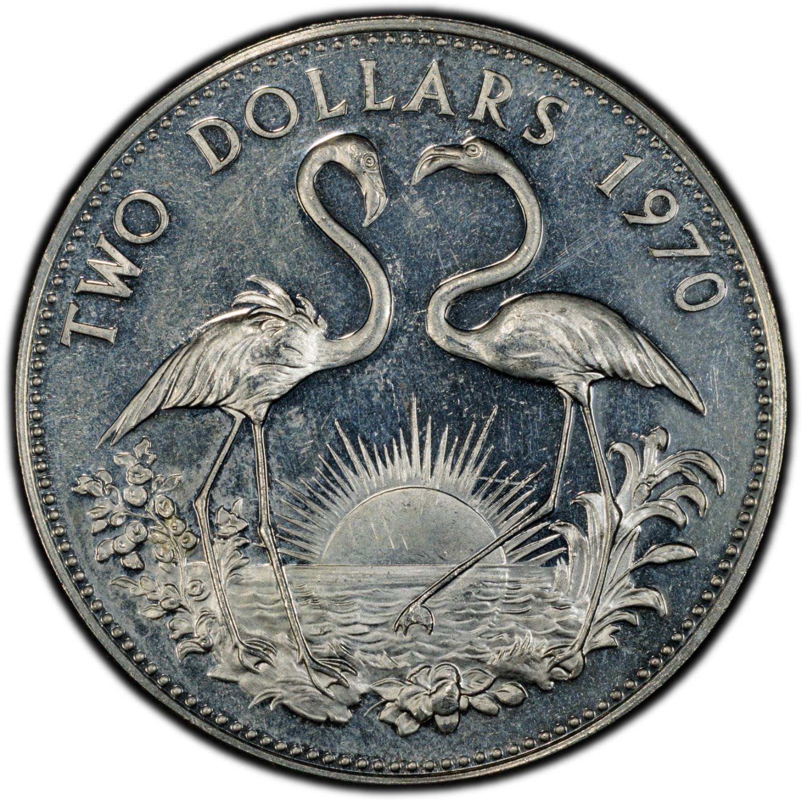 1970 $2 Bahamas Flamingos PCGS PR62CAM Cert#53076087 - Image 3