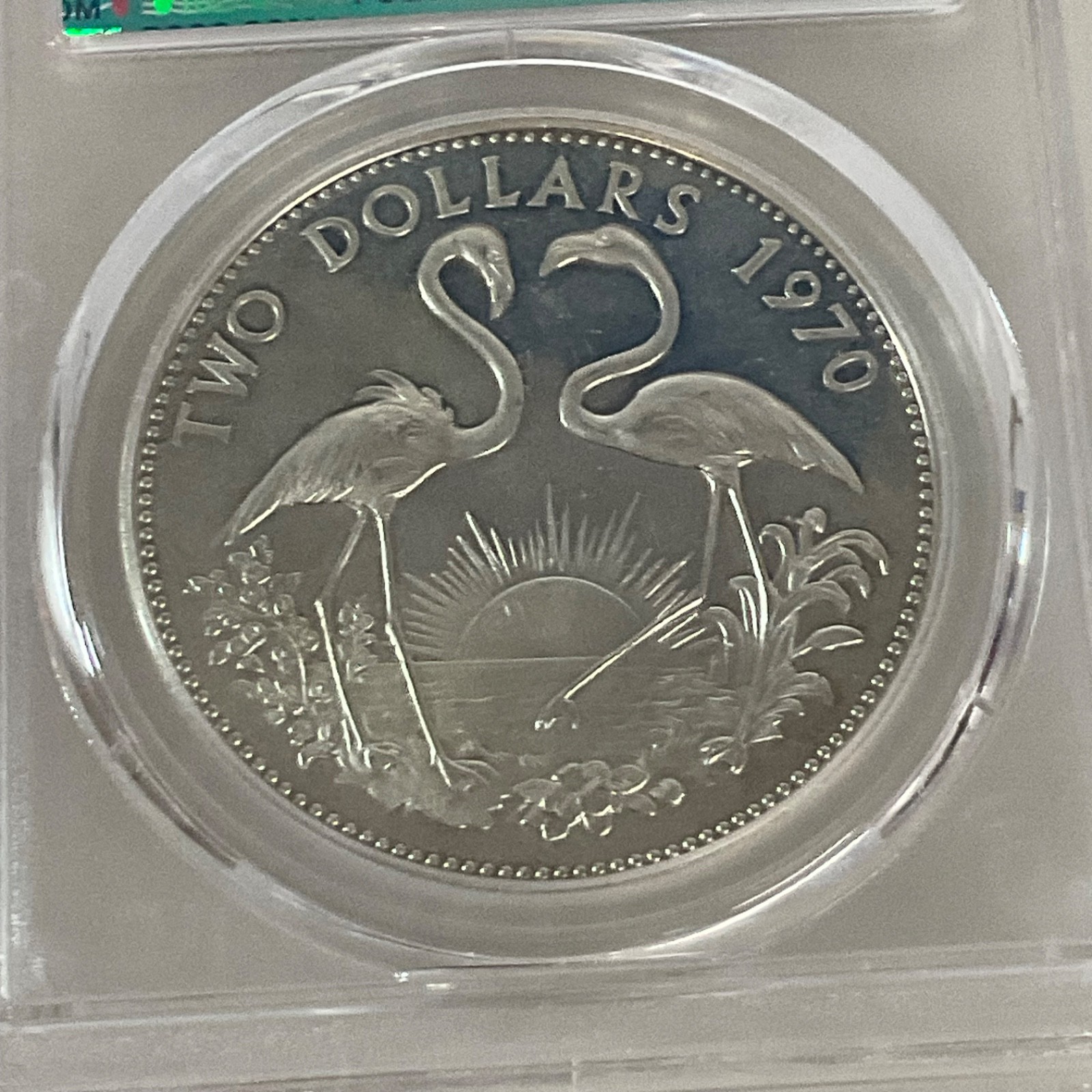 1970 $2 Bahamas Flamingos PCGS PR62CAM Cert#53076087 - Image 9