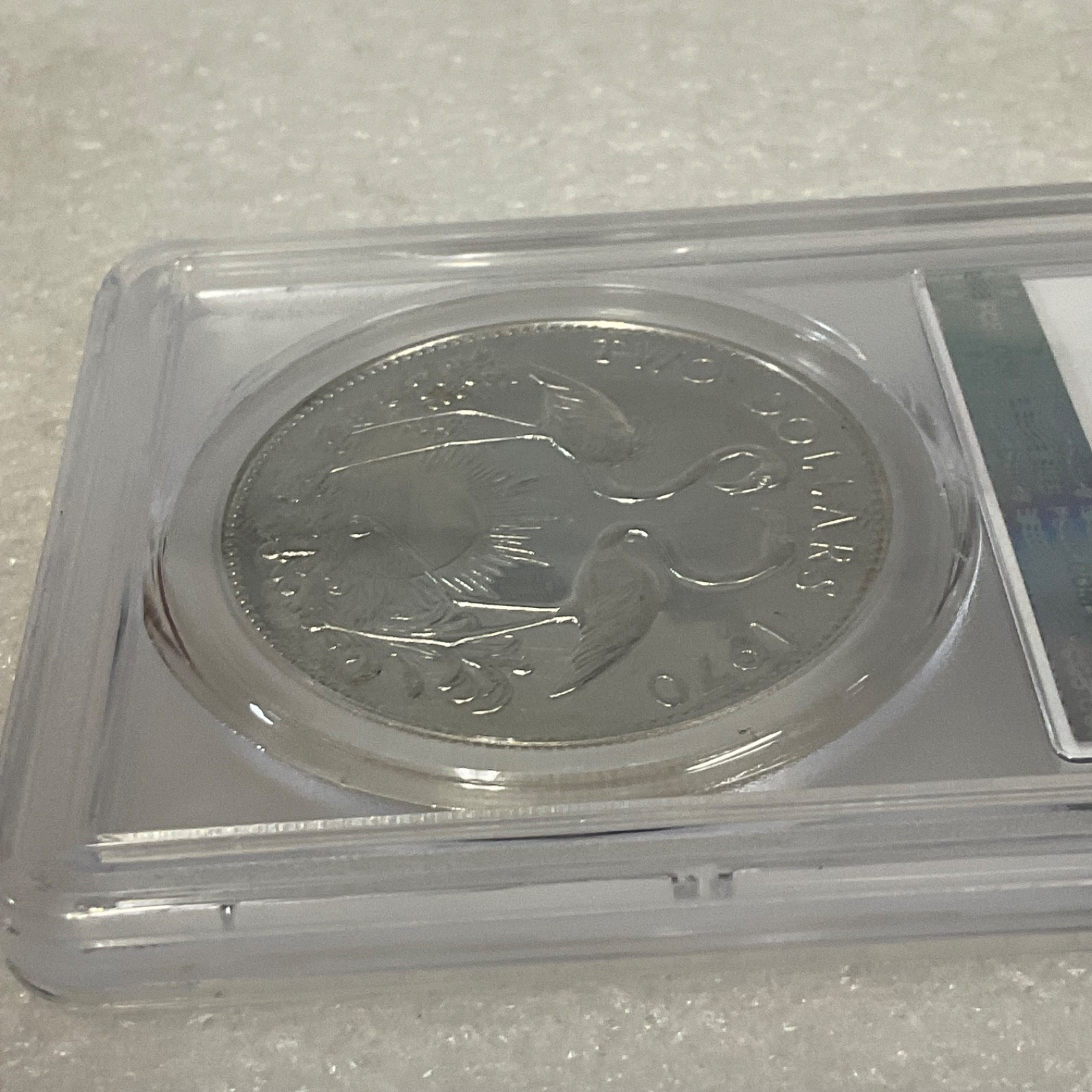 1970 $2 Bahamas Flamingos PCGS PR62CAM Cert#53076087 - Image 13