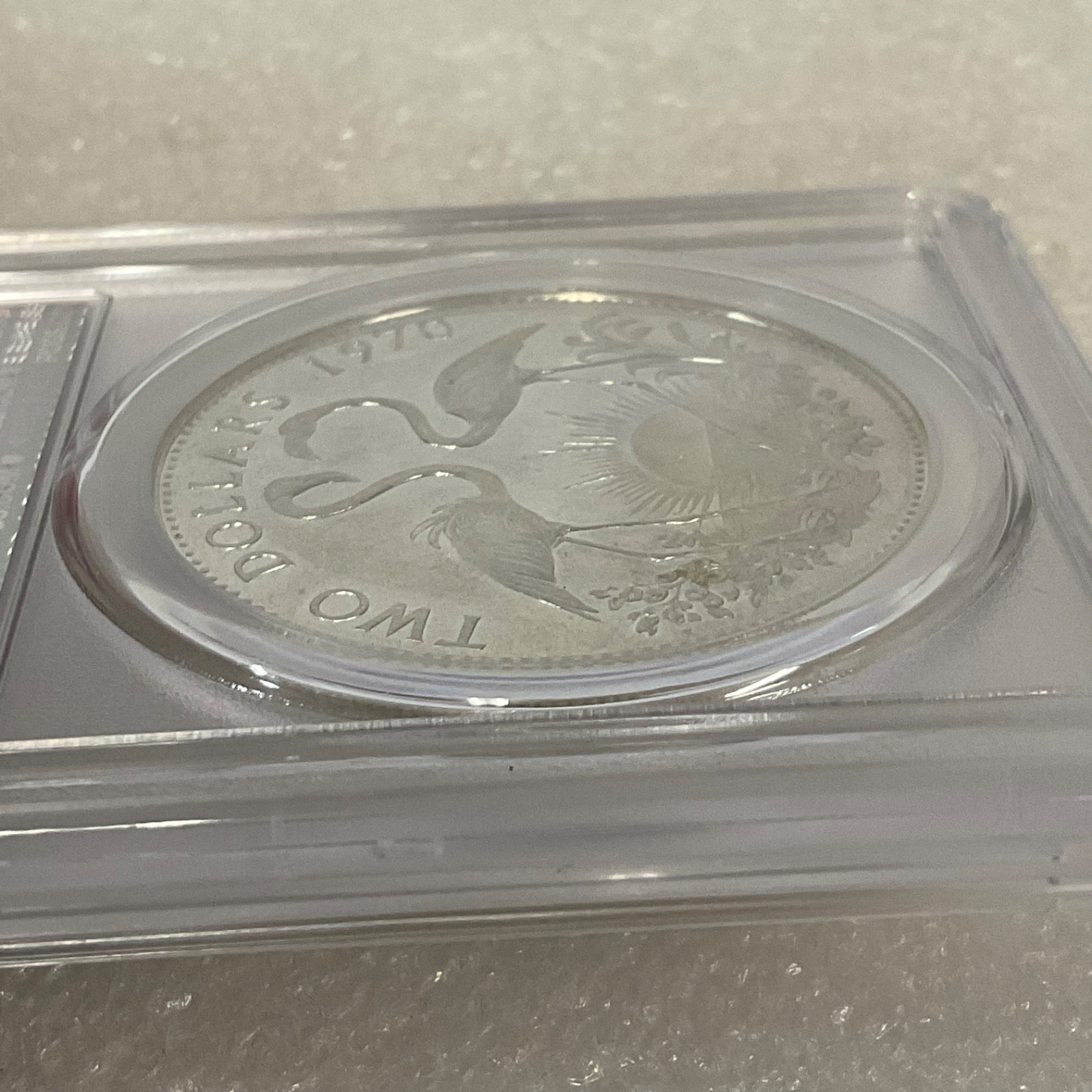 1970 $2 Bahamas Flamingos PCGS PR62CAM Cert#53076087 - Image 12