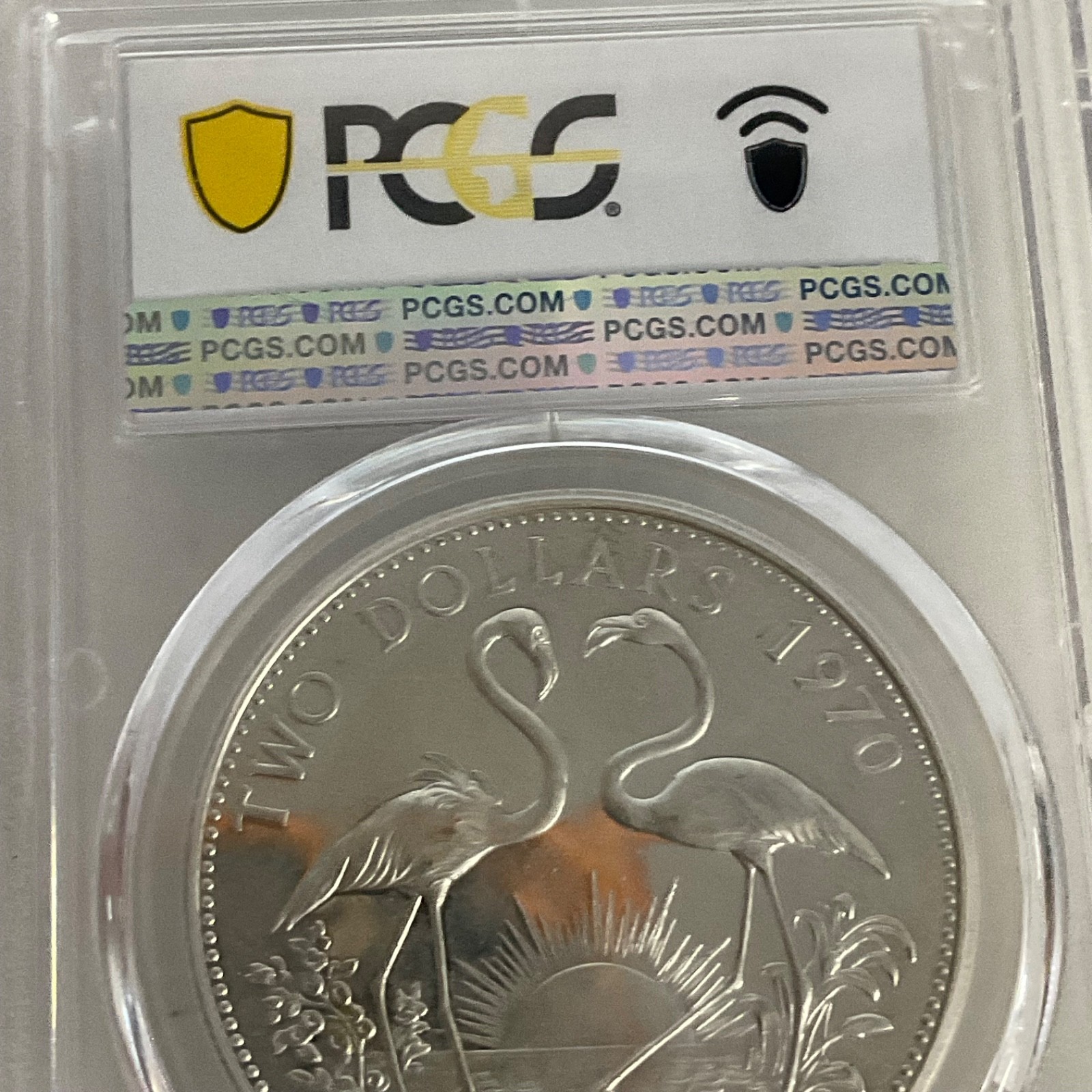 1970 $2 Bahamas Flamingos PCGS PR62CAM Cert#53076087 - Image 15