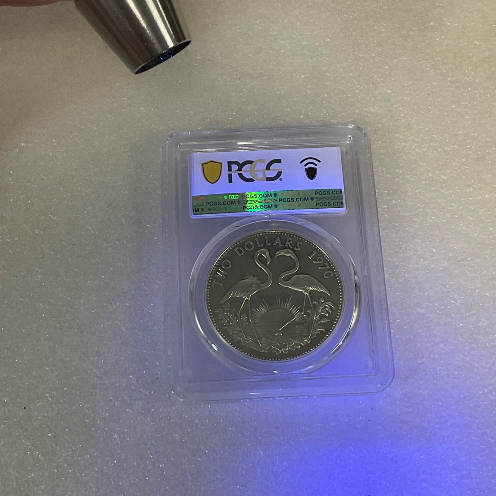 1970 $2 Bahamas Flamingos PCGS PR62CAM Cert#53076087 - Image 17