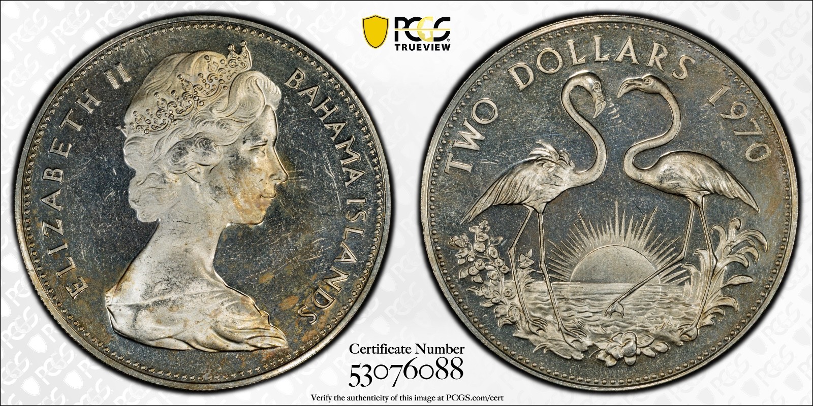 1970 $2 Bahamas Flamingos PCGS PR64CAM Toned Cert#53076088 - Image 1