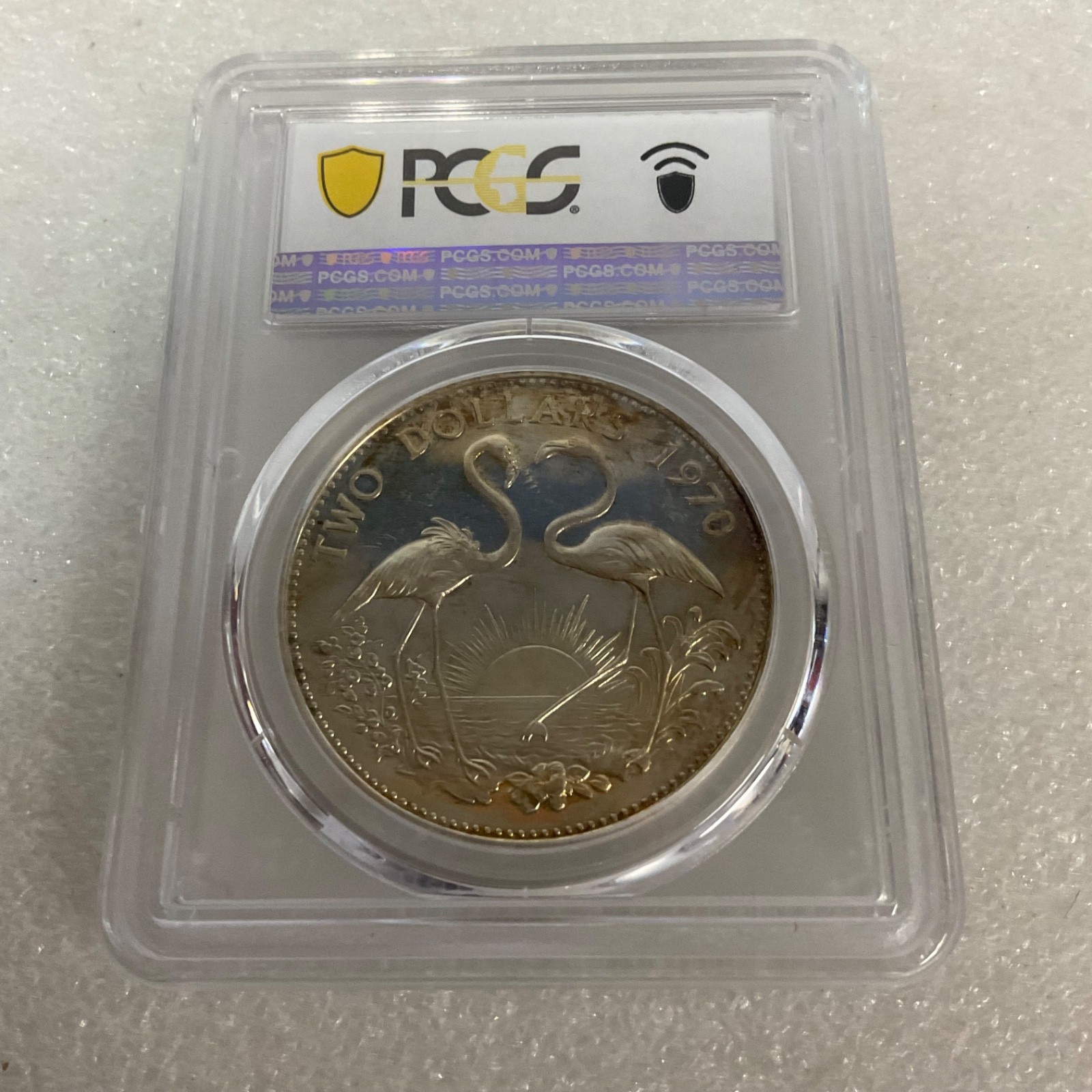 1970 $2 Bahamas Flamingos PCGS PR64CAM Toned Cert#53076088 - Image 6