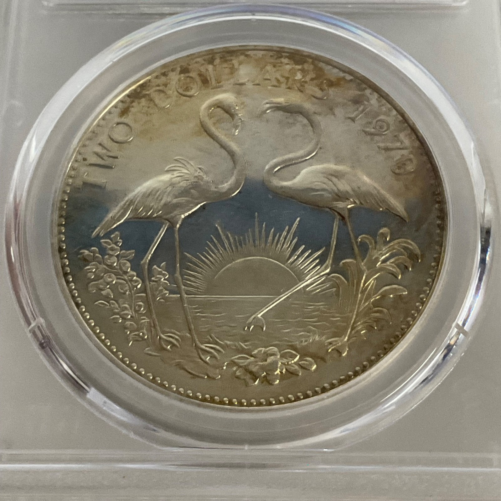 1970 $2 Bahamas Flamingos PCGS PR64CAM Toned Cert#53076088 - Image 9