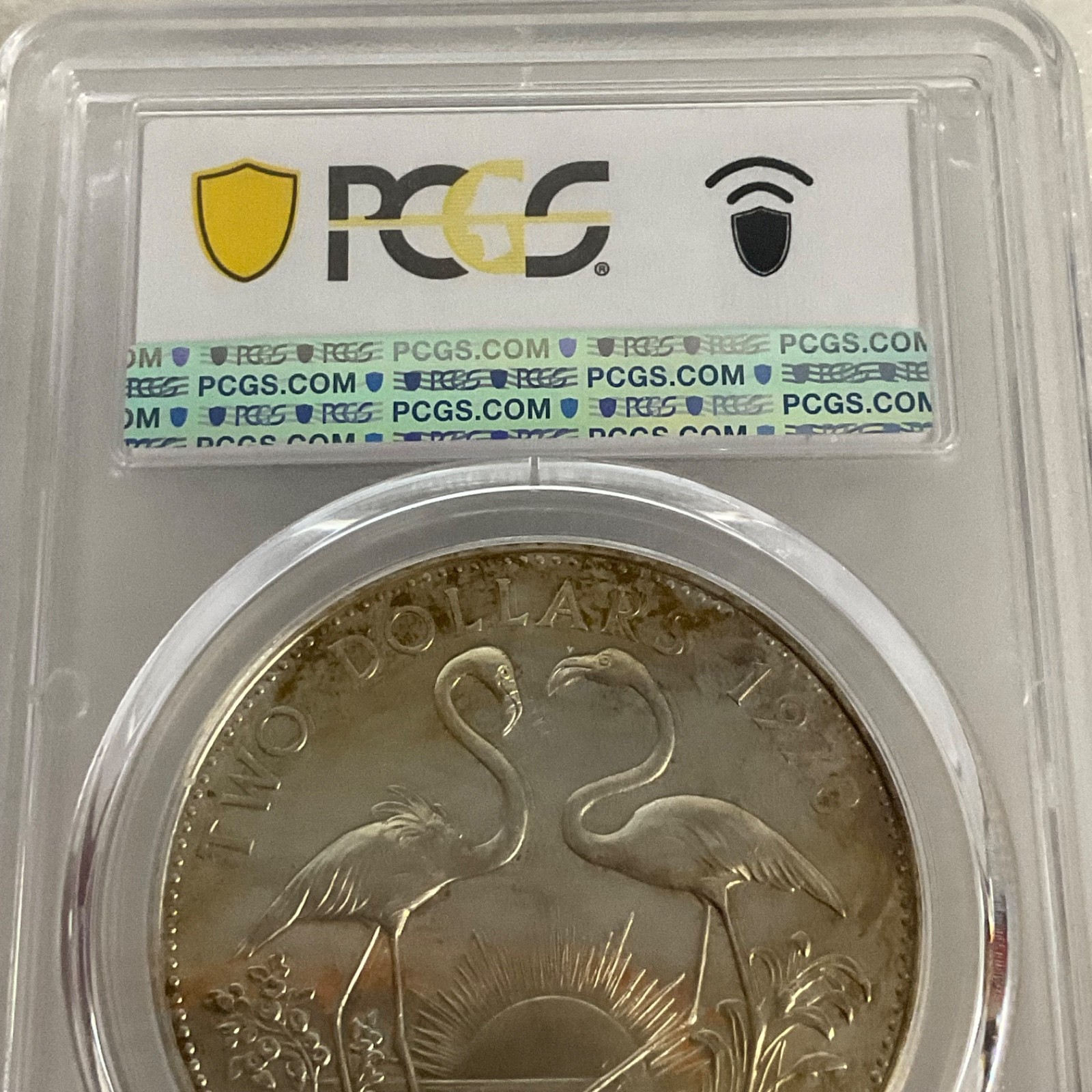 1970 $2 Bahamas Flamingos PCGS PR64CAM Toned Cert#53076088 - Image 10