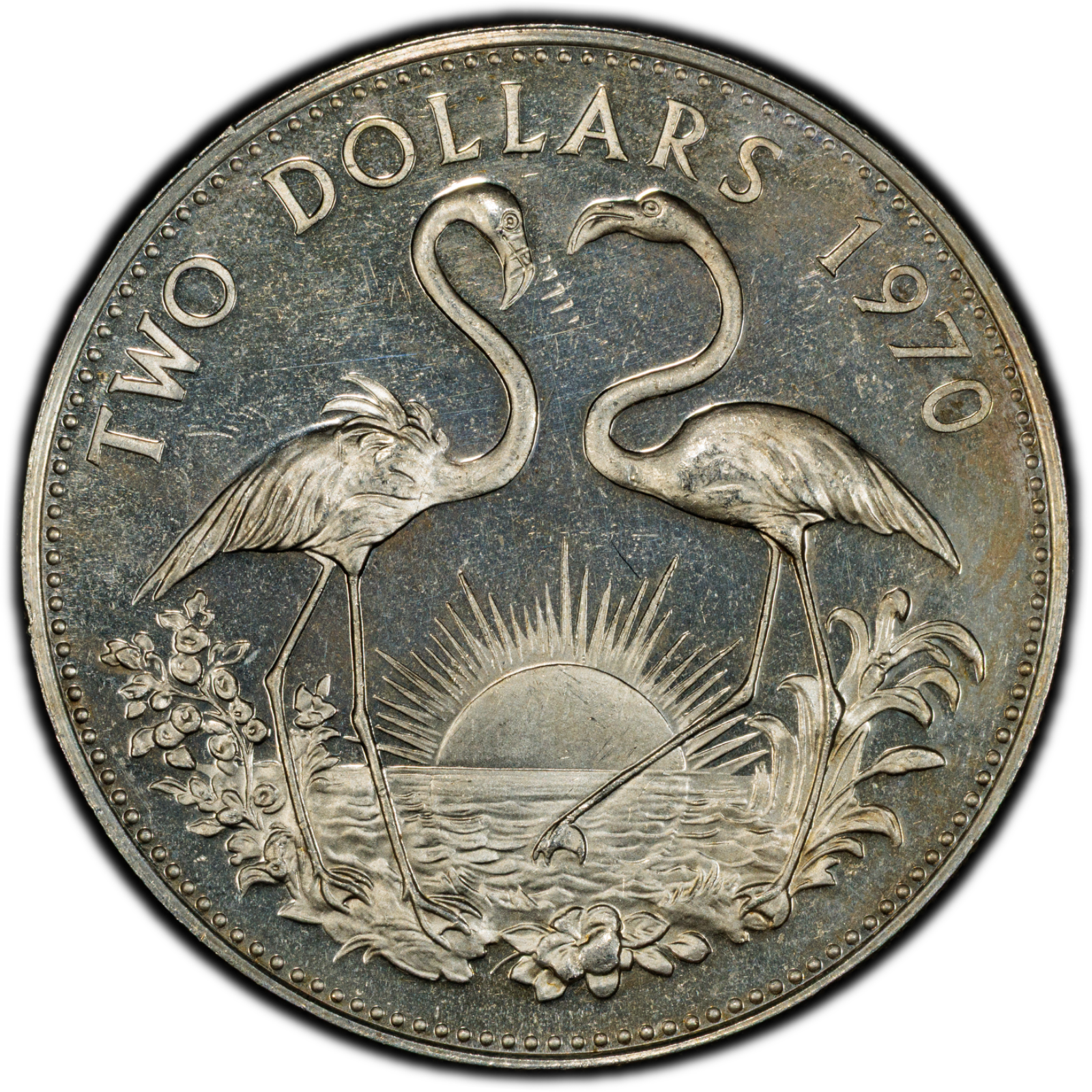 1970 $2 Bahamas Flamingos PCGS PR64CAM Toned Cert#53076088 - Image 3