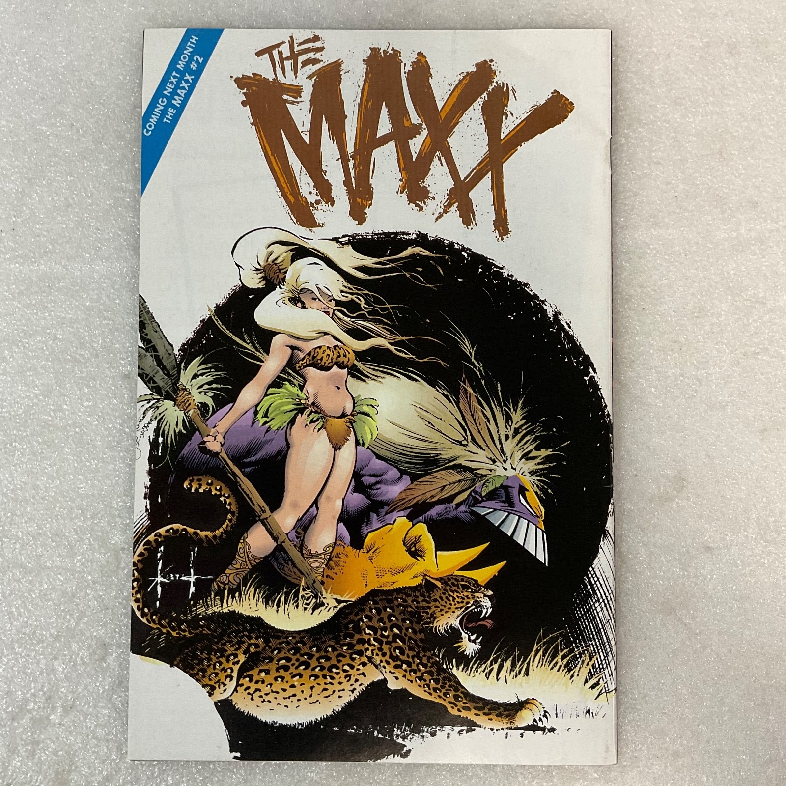 The Maxx #1 March 1993 Image Comics Sam Kieth First Print - Image 2