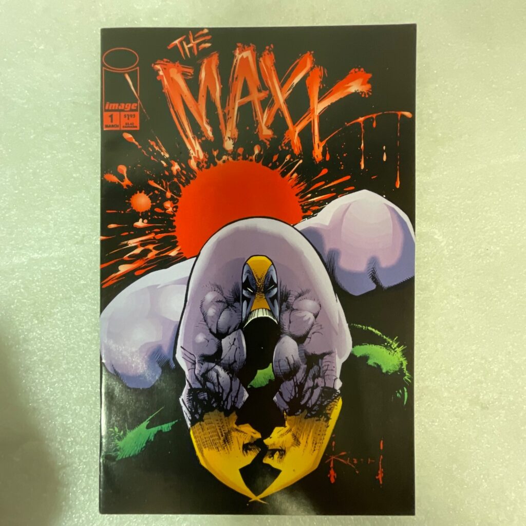 The Maxx #1 1993 Image Comic First Printing Sam Kieth Cover - Image 1