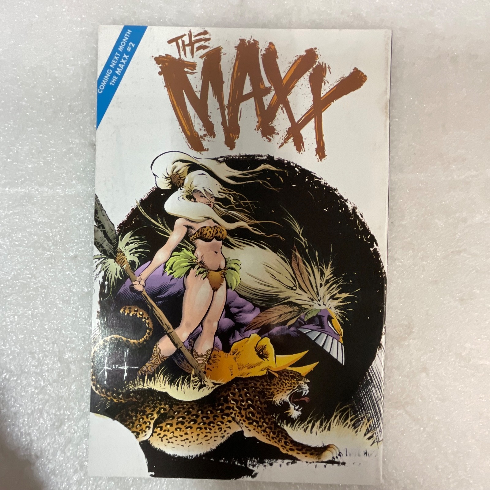 The Maxx #1 1993 Image Comic First Printing Sam Kieth Cover - Image 2