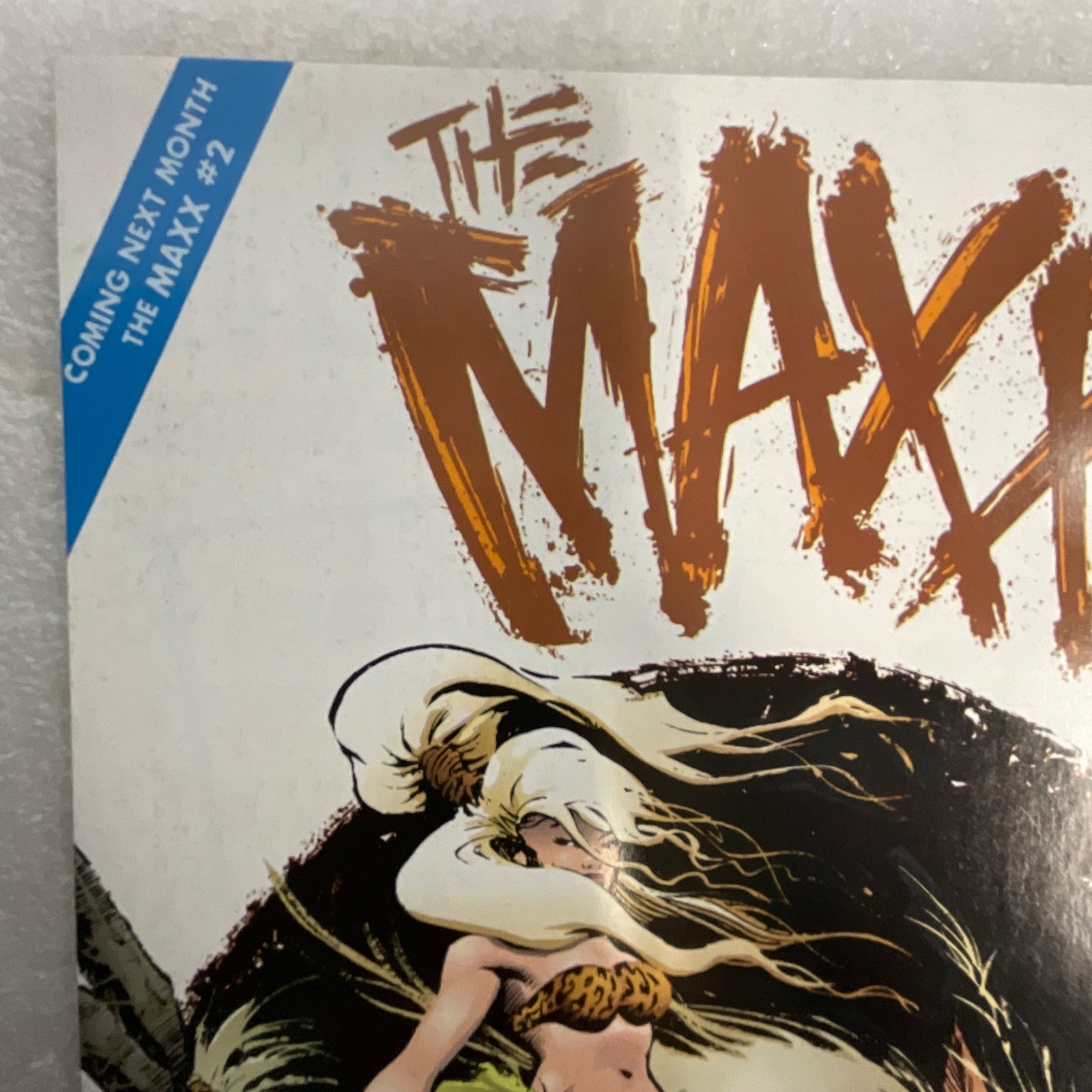 The Maxx #1 1993 Image Comic First Printing Sam Kieth Cover - Image 10