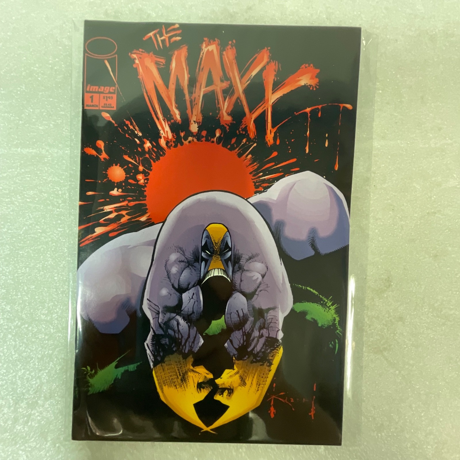 The Maxx #1 March 1993 Image Comics Sam Kieth First Print - Image 14