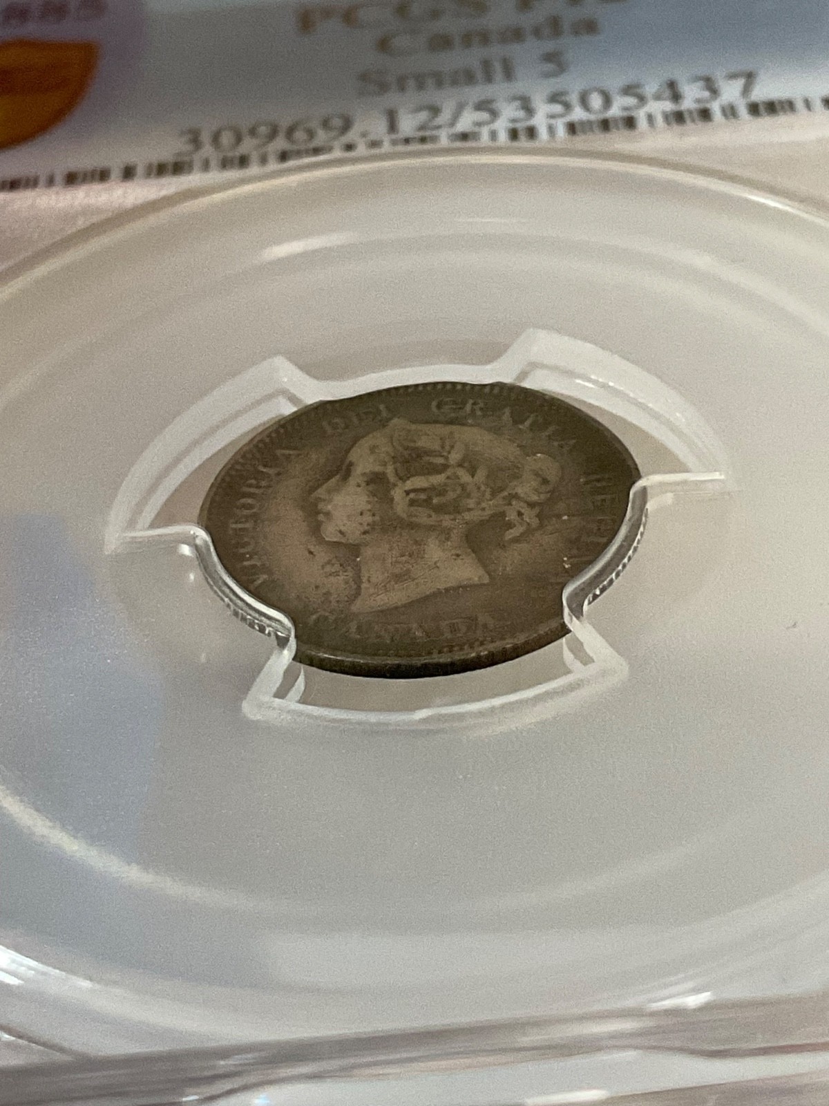 1885 5C Canada Small 5 PCGS F12 Cert#53505437 - Image 13