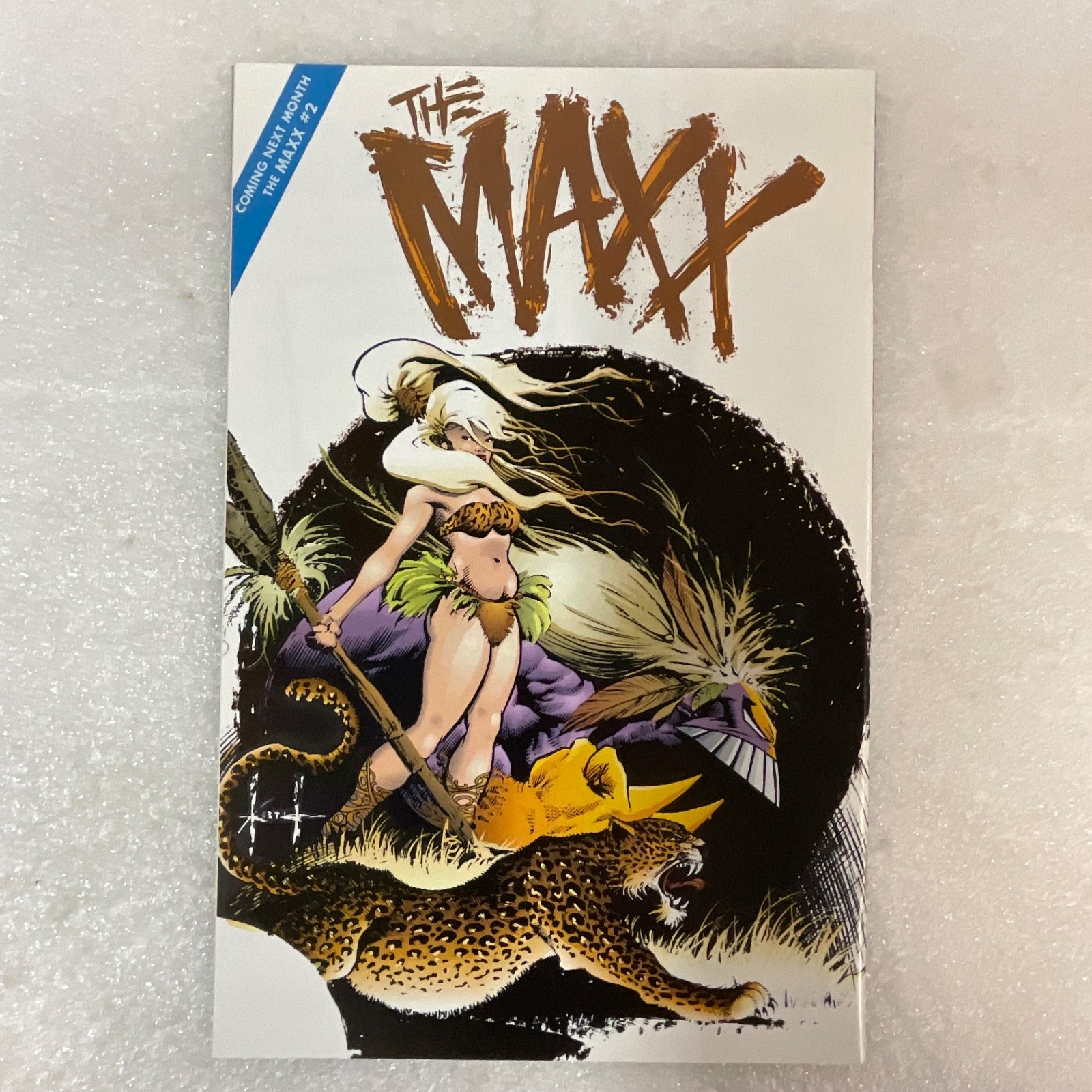 The Maxx #1 Image Comics 1993 Debut Issue Sam Kieth Art First Print - Image 2