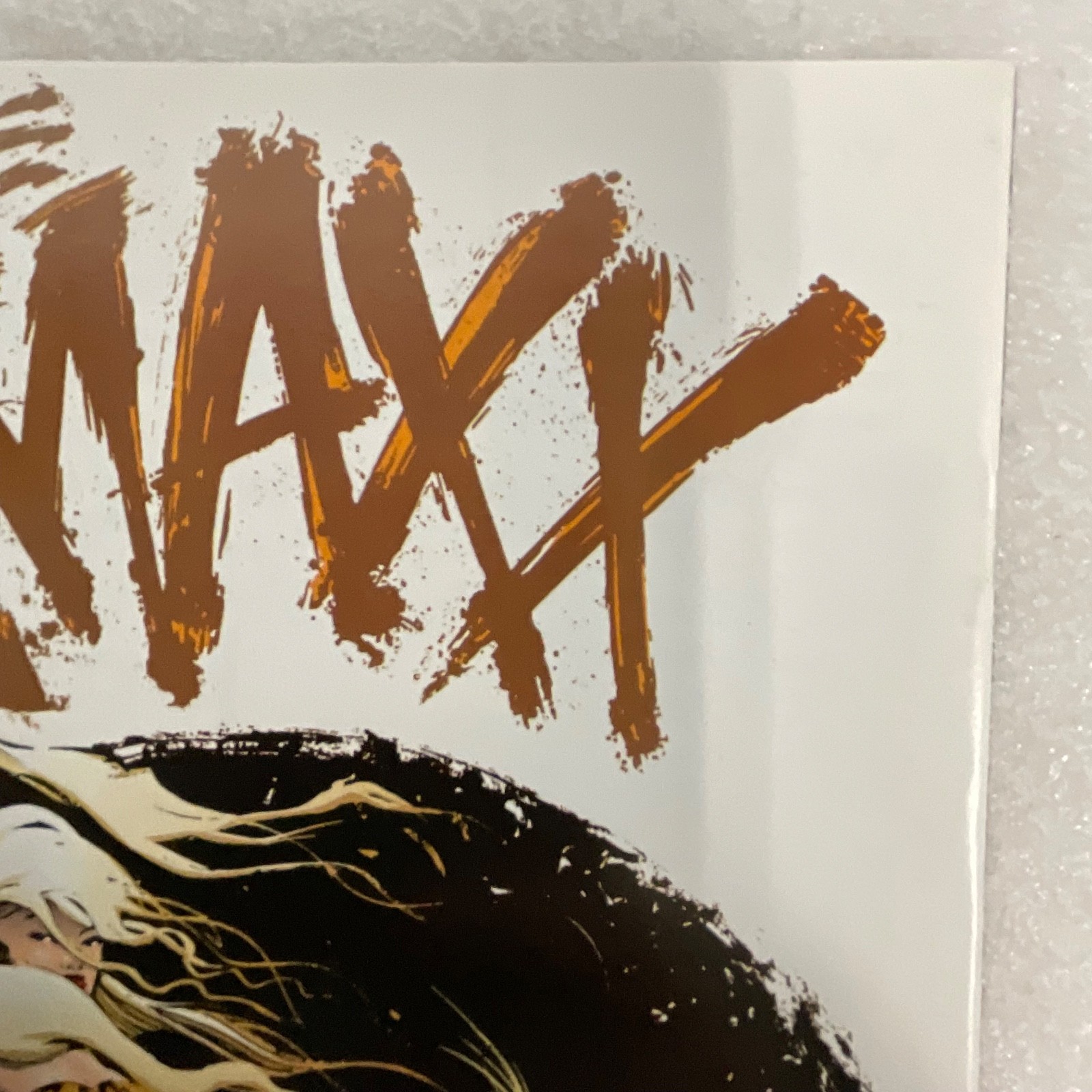 The Maxx #1 Image Comics 1993 Debut Issue Sam Kieth Art First Print - Image 12