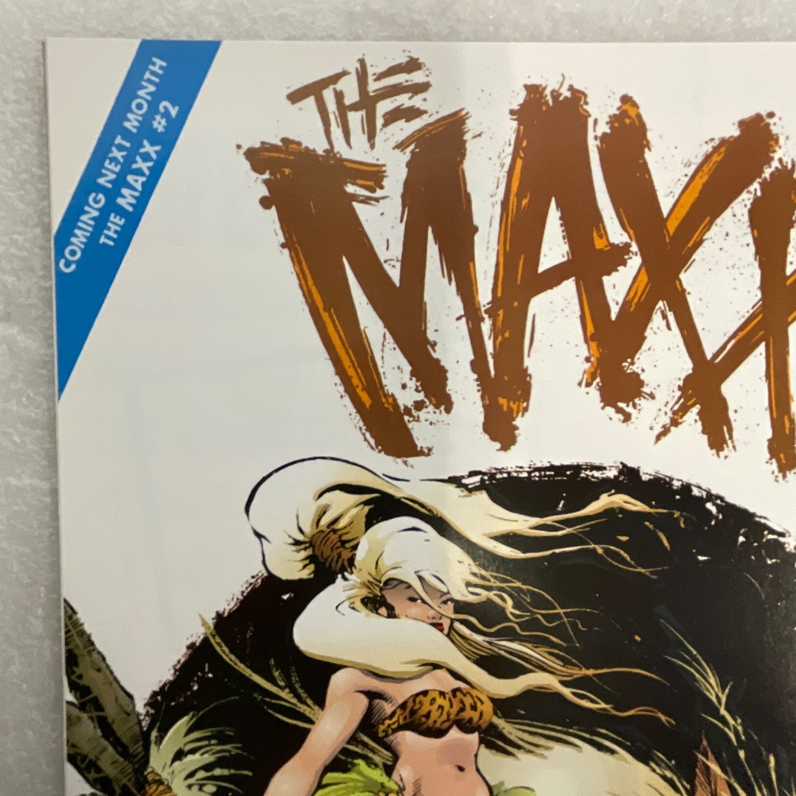 The Maxx #1 Image Comics 1993 Debut Issue Sam Kieth Art First Print - Image 11
