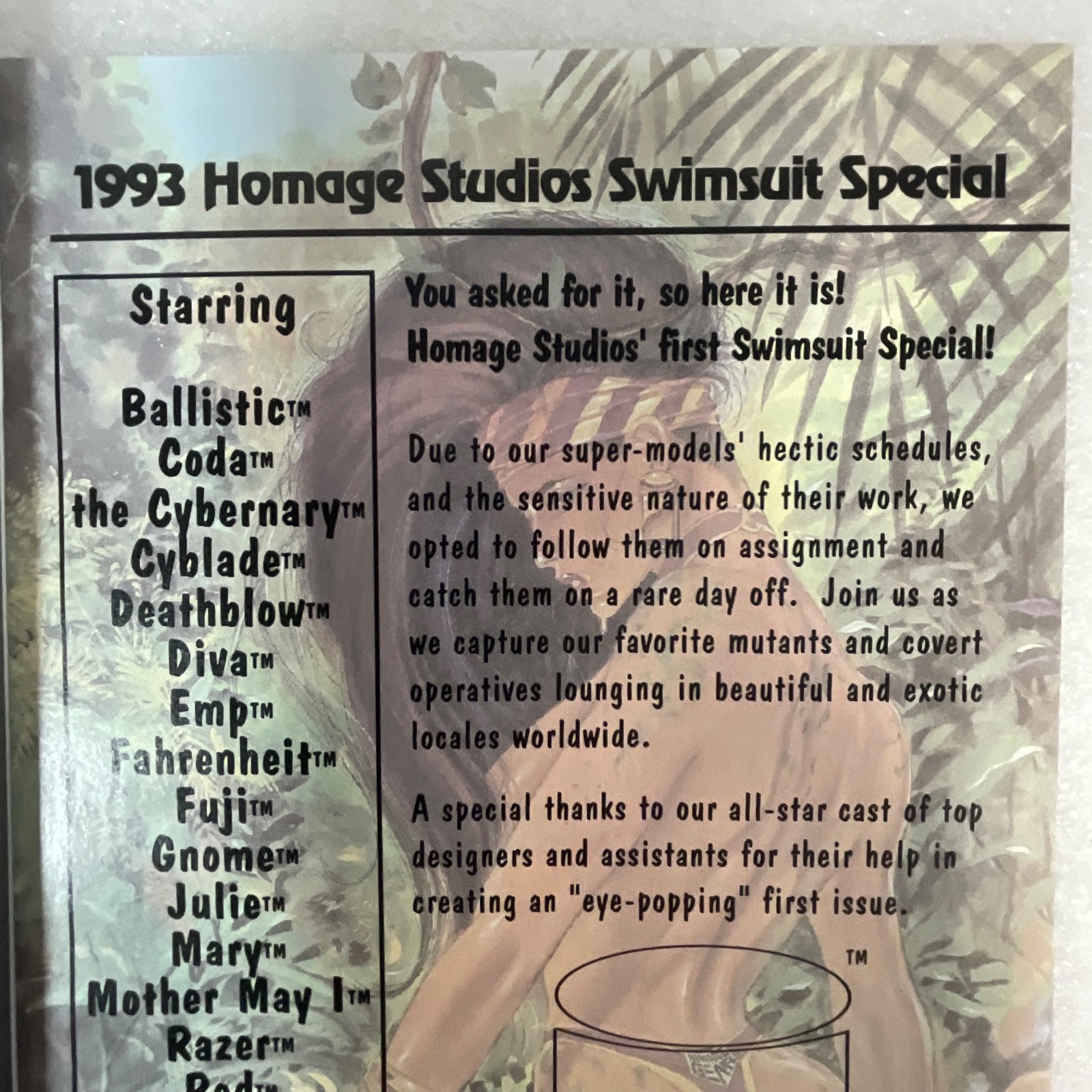 Homage Studios Swimsuit Special #1 1993 Image Comics Pinup Issue - Image 4