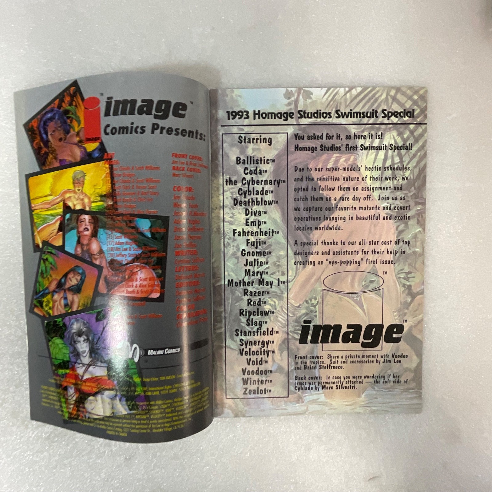 Homage Studios Swimsuit Special #1 1993 Image Comics Pinup Issue - Image 3