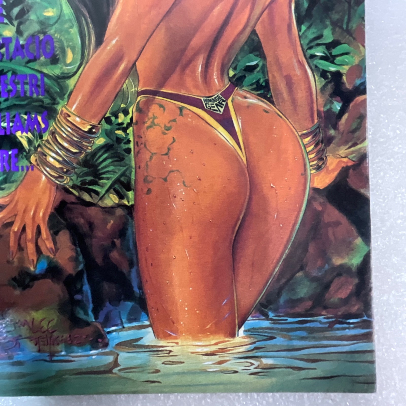 Homage Studios Swimsuit Special #1 1993 Image Comics Pinup Issue - Image 8