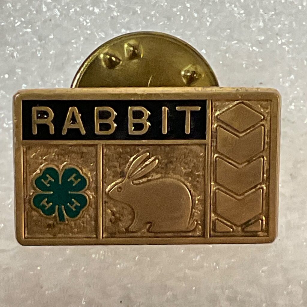 Vintage 4-H Rabbit Project Pin Gold Tone Enamel Lapel Badge 0.75in Ballou - Image 1