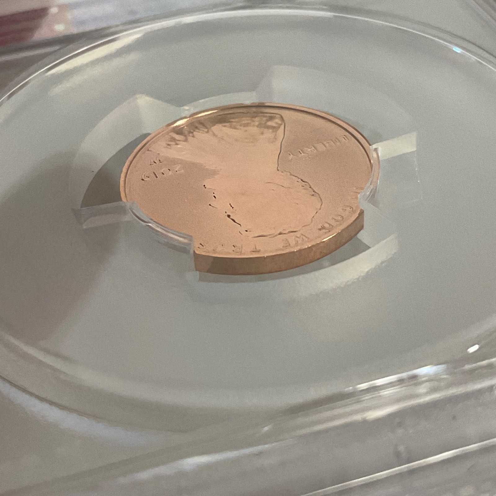 2019-W 1C Reverse Proof PCGS PR68 Lincoln Cent Cert#53505398 - Image 18