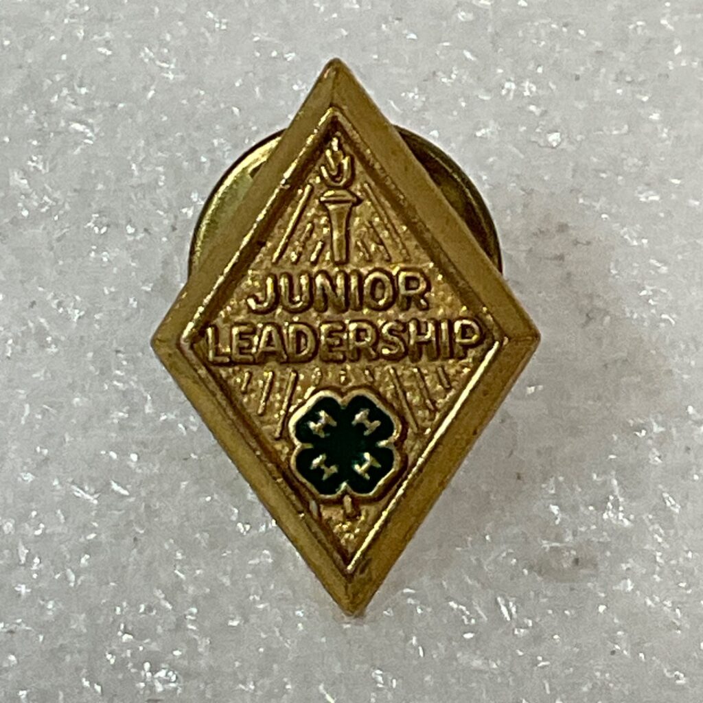 Vintage 4-H Junior Leadership Pin Gold Tone Diamond Shape Clover Emblem 0.75in - Image 1
