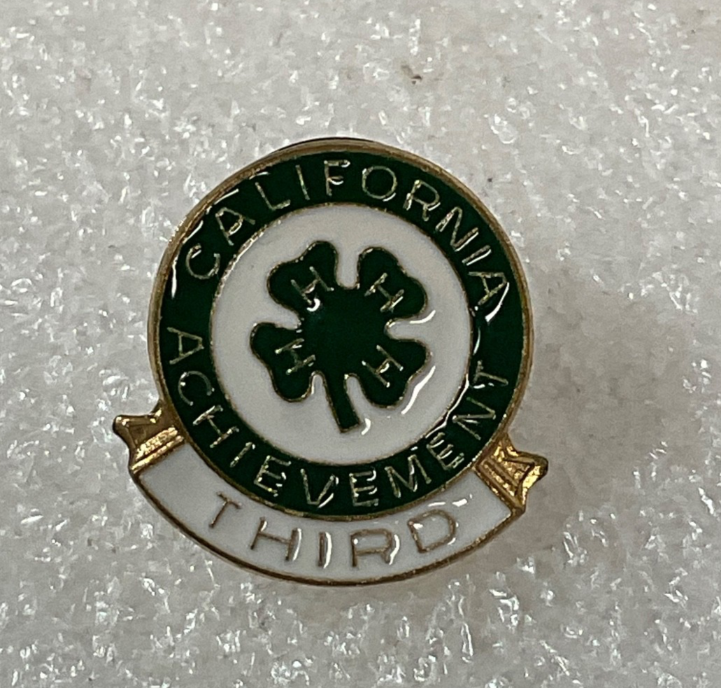 Vintage California 4-H Achievement Pin Third Award Green White Enamel 0.75in - Image 1