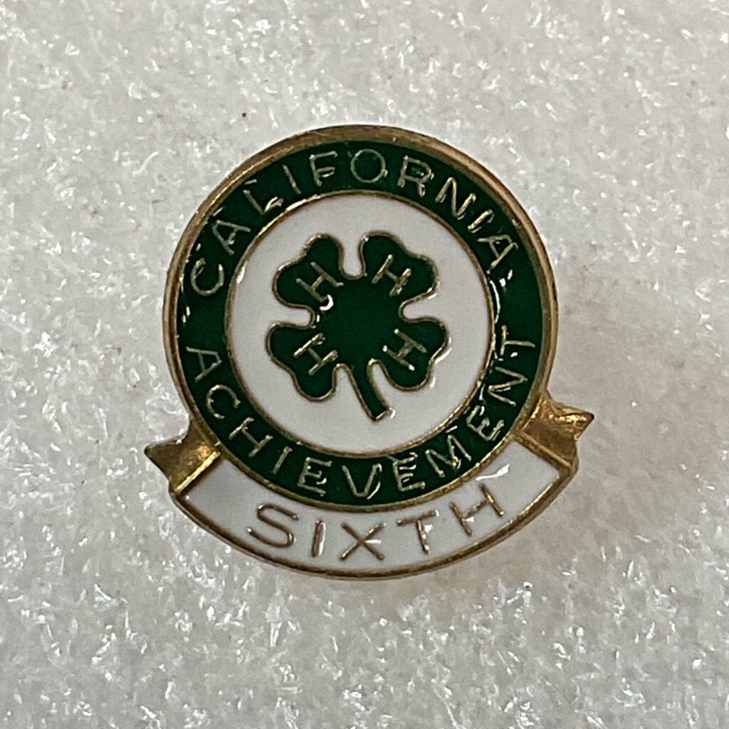 Vintage 4-H California Achievement Sixth Pin Green White Enamel 0.6in 3.61g - Image 1