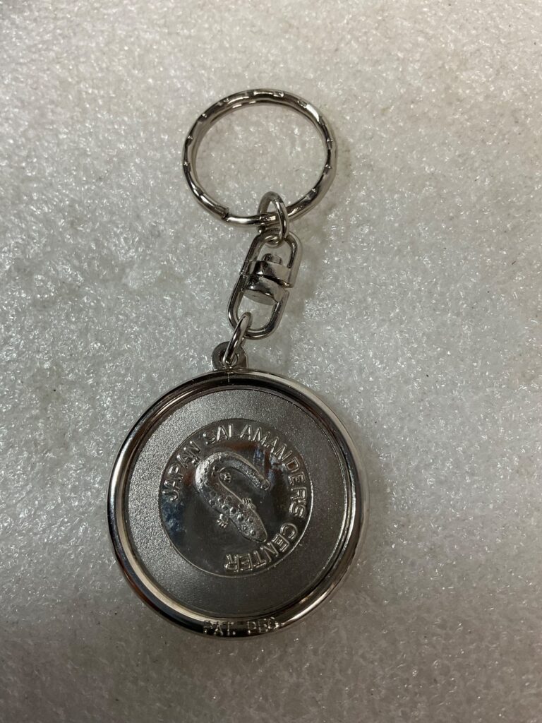 Akame 48 Waterfalls Japan Salamanders Center Keychain 2in Souvenir Metal - Image 1