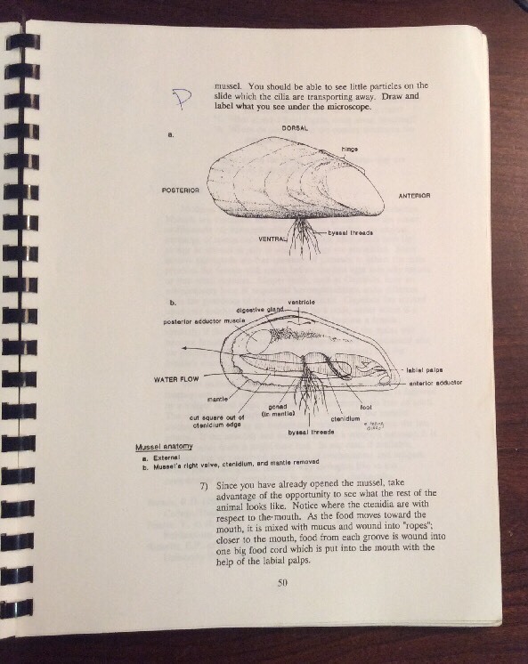 Laboratory Manual For Biological Sciences 1B UC Davis 1990 Falling, Grosberg - Image 9