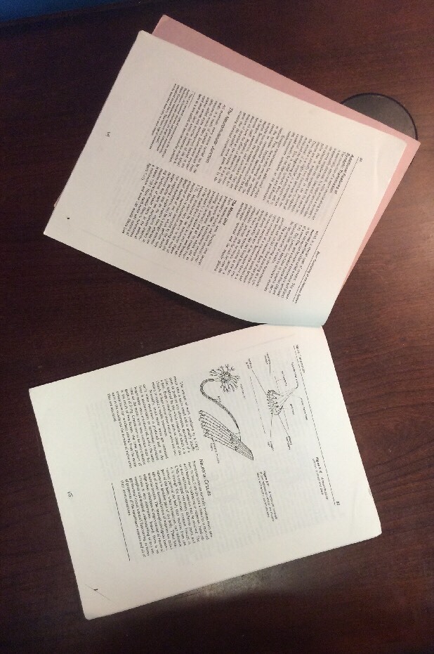 Physical Education 104 Introduction To Motor Learning (1991, Softcover) UC Davis - Image 7