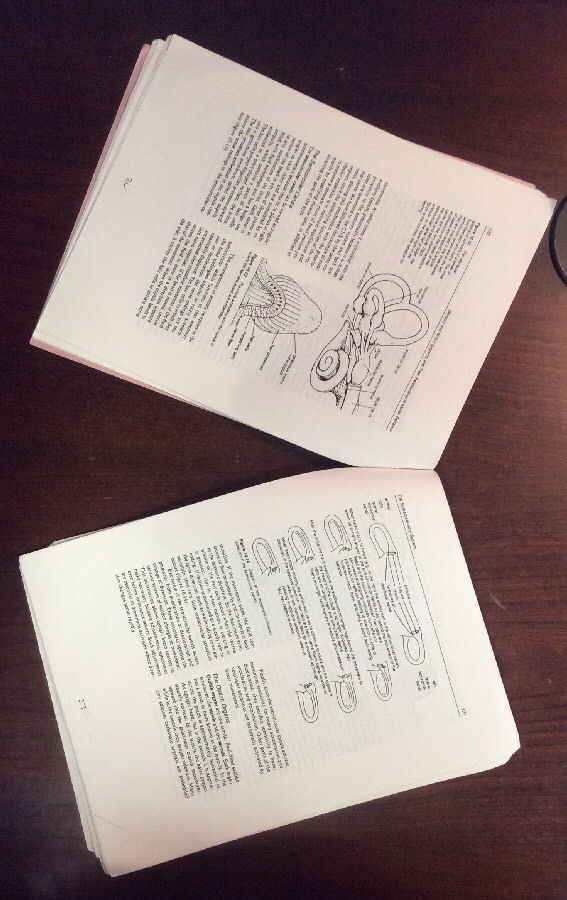 Physical Education 104 Introduction To Motor Learning (1991, Softcover) UC Davis - Image 9
