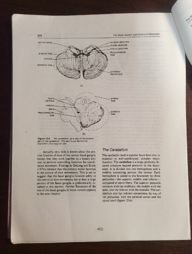 Physical Education 104 Introduction To Motor Learning (1991, Softcover) UC Davis - Image 11